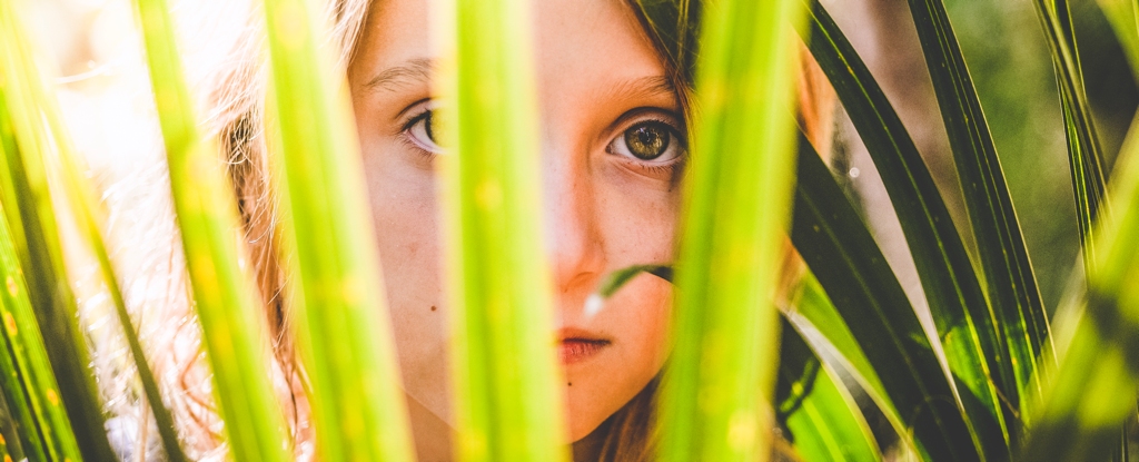 The Words Humans Use to Describe Nature Are Vanishing, Study Finds : ScienceAlert