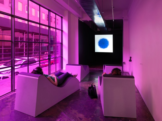 Art in General to Reopen in NYC