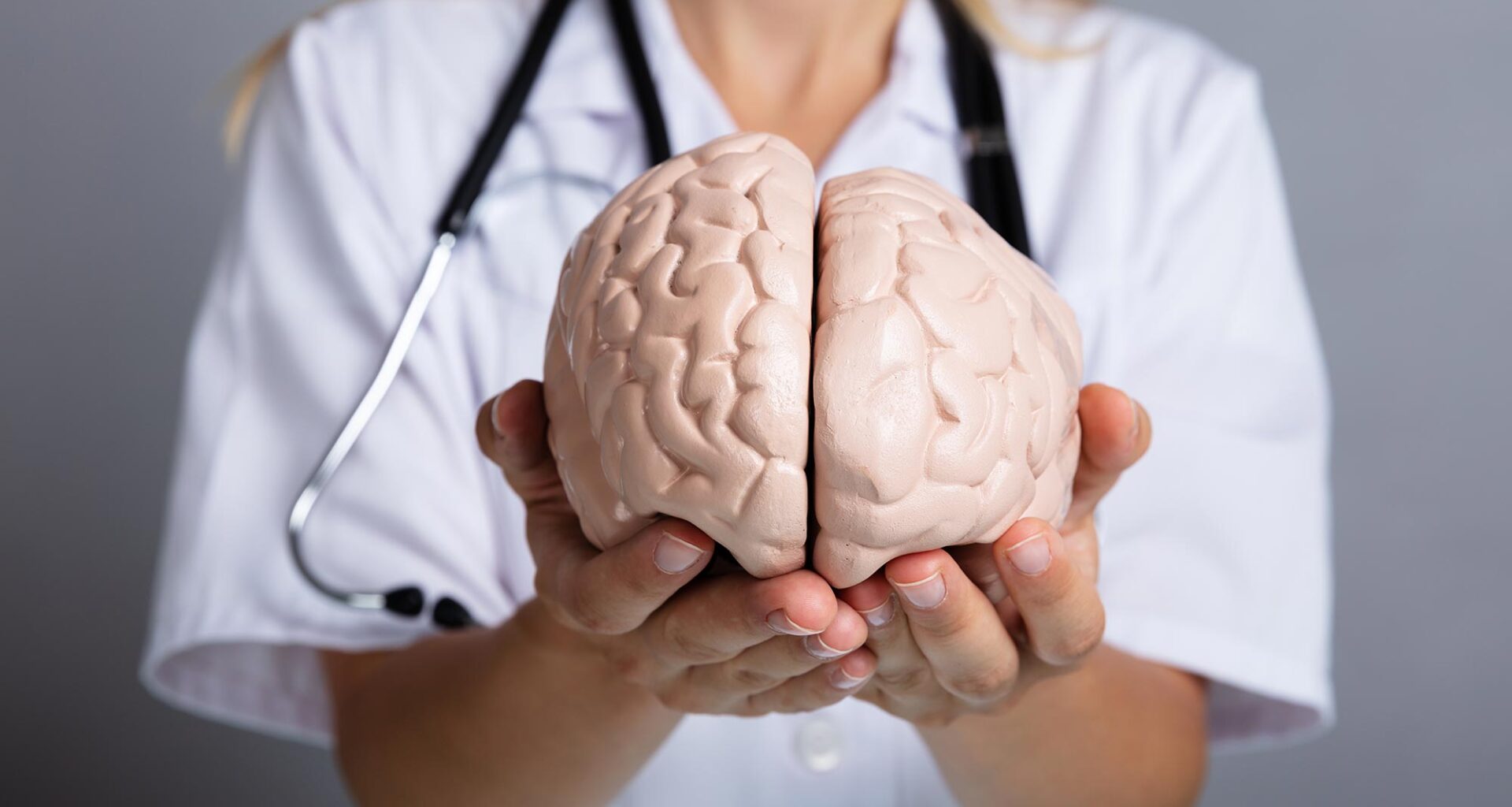 Doctor Holding Brain Model