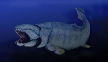 Dunkleosteus Rendering