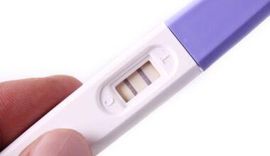 Adjusting fertility drug timing boosts ovulation success in rat models
