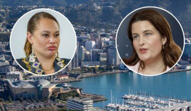 Wellington leaders say Nicola Willis deflecting responsibility for capital’s economic woes