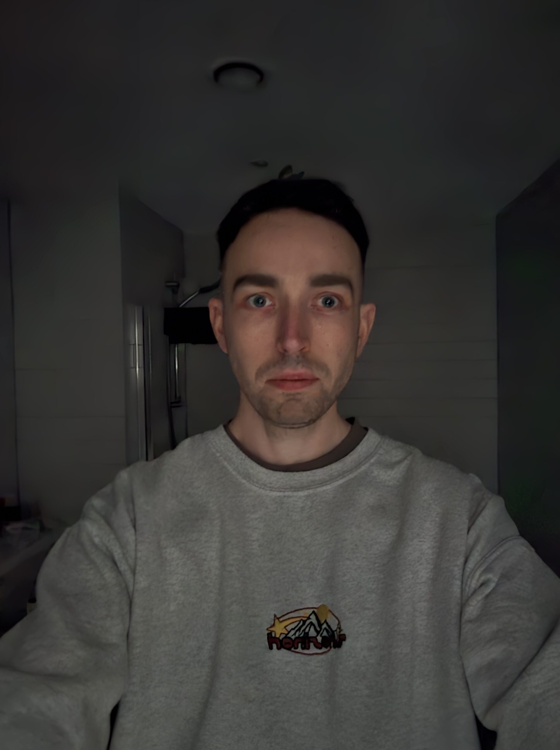 Galaxy Z Fold 7 Selfie No Light