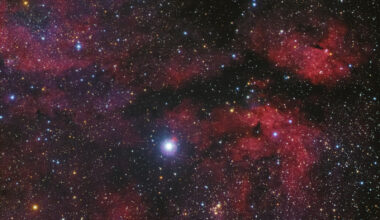 Open cluster NGC 6910 shines near Gamma Cygni