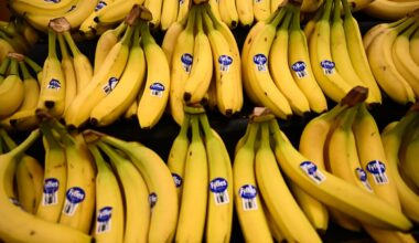 ​Eating these potassium-rich foods could drastically cut your risk of death, new study shows