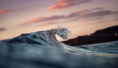 A small waves breaks off the coast.