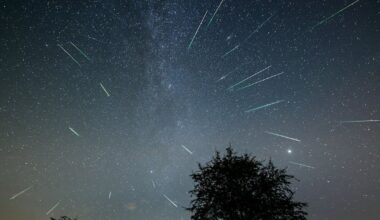 Perseid meteor shower to continue Wednesday night – The Irish Times