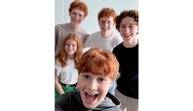 Harry Potter Series Weasley Family