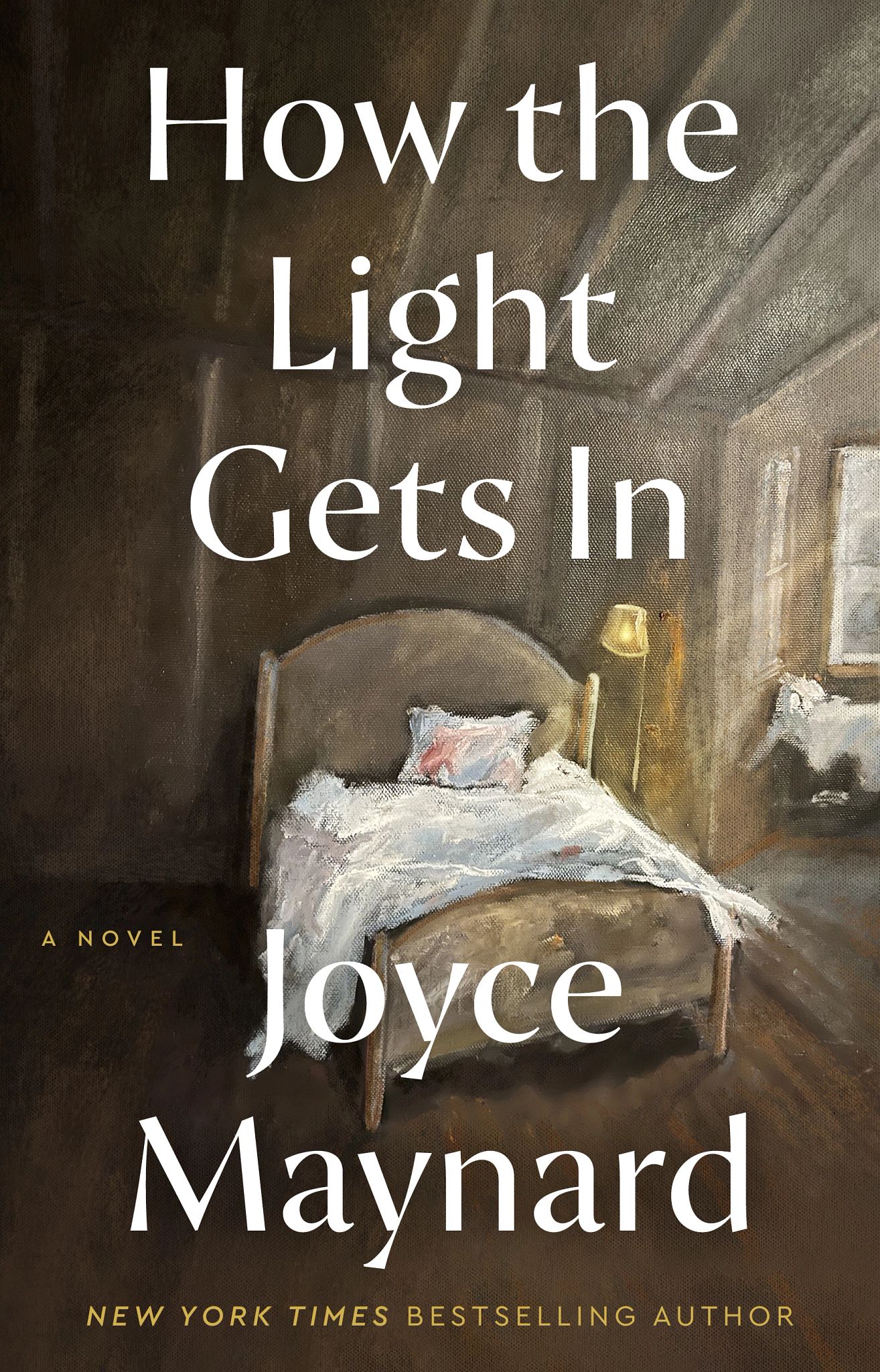 the cover of the book how the light gets in