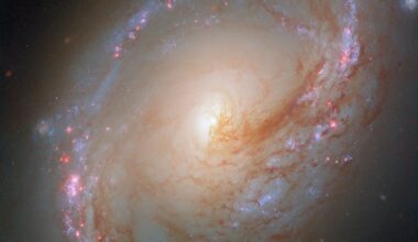 A spiral galaxy, tilted nearly face-on to us, with a slightly unusual shape. Its spiral arms form an oval-shaped ring around the galaxy’s disk, filled with blue light from stars, as well as pink glowing gas bubbles where new stars are forming. Threads of dark red dust swirl around the brightly glowing core, blocking some of its light. The dust lanes extend into and follow the spiral arms.