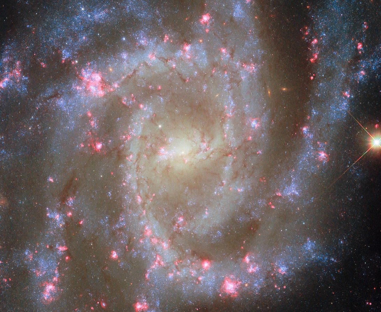 A face-on spiral galaxy. Its center glows bright yellow. The galaxy’s spiral arms contain sparkling blue stars, pink spots of star formation, and dark threads of dust that follow the arms.