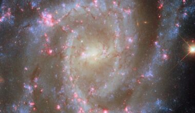 A face-on spiral galaxy. Its center glows bright yellow. The galaxy’s spiral arms contain sparkling blue stars, pink spots of star formation, and dark threads of dust that follow the arms.