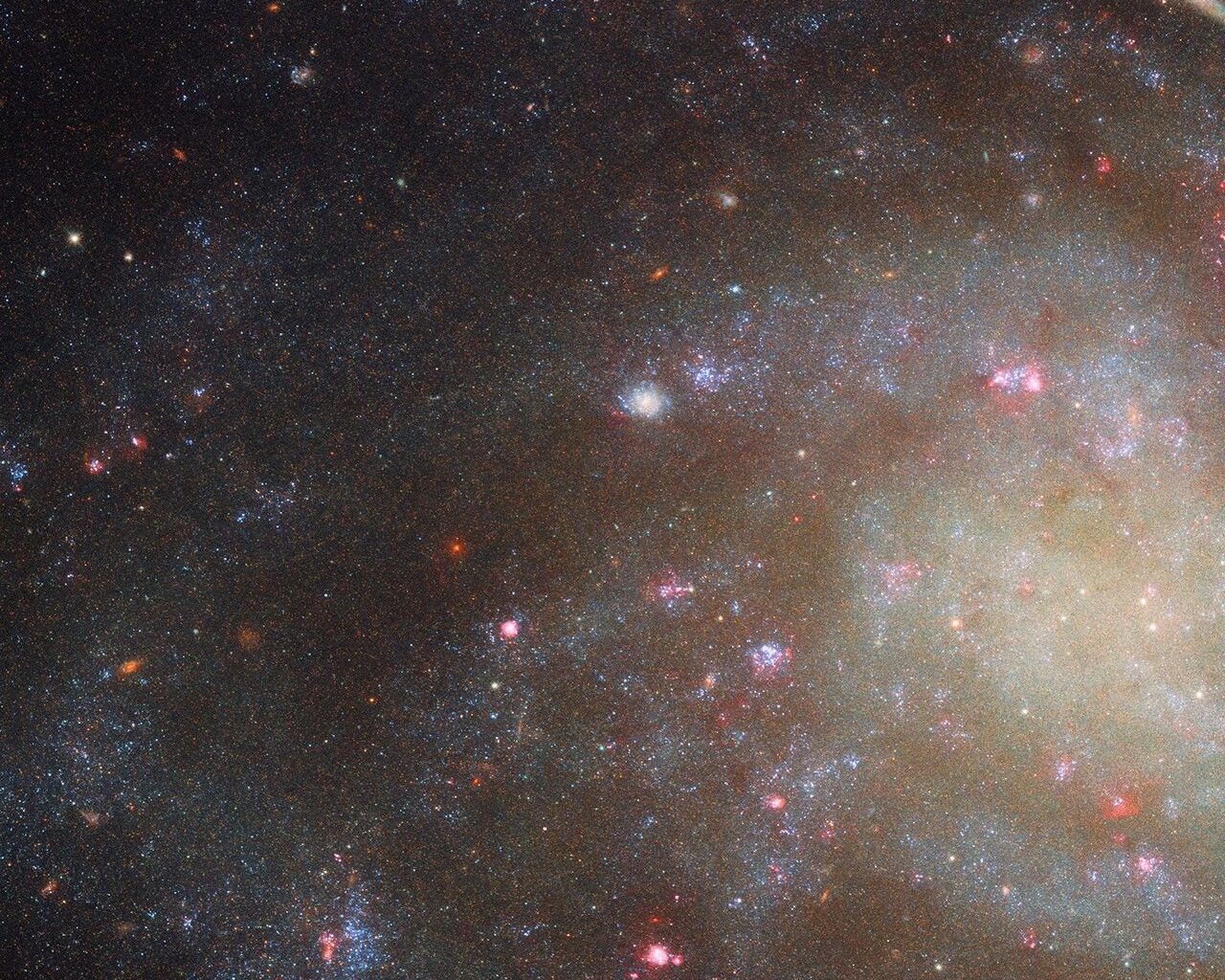 This Hubble image features a close-up view of the outer arms of the spiral galaxy NGC 45. Tiny blue dots (stars) and glowing pink clouds (star-forming nebulae) fill its spiral arms. The galaxy is visible against a dark background.