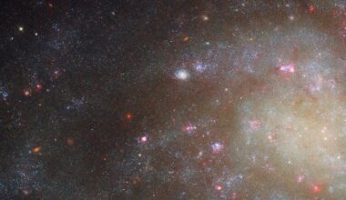 This Hubble image features a close-up view of the outer arms of the spiral galaxy NGC 45. Tiny blue dots (stars) and glowing pink clouds (star-forming nebulae) fill its spiral arms. The galaxy is visible against a dark background.
