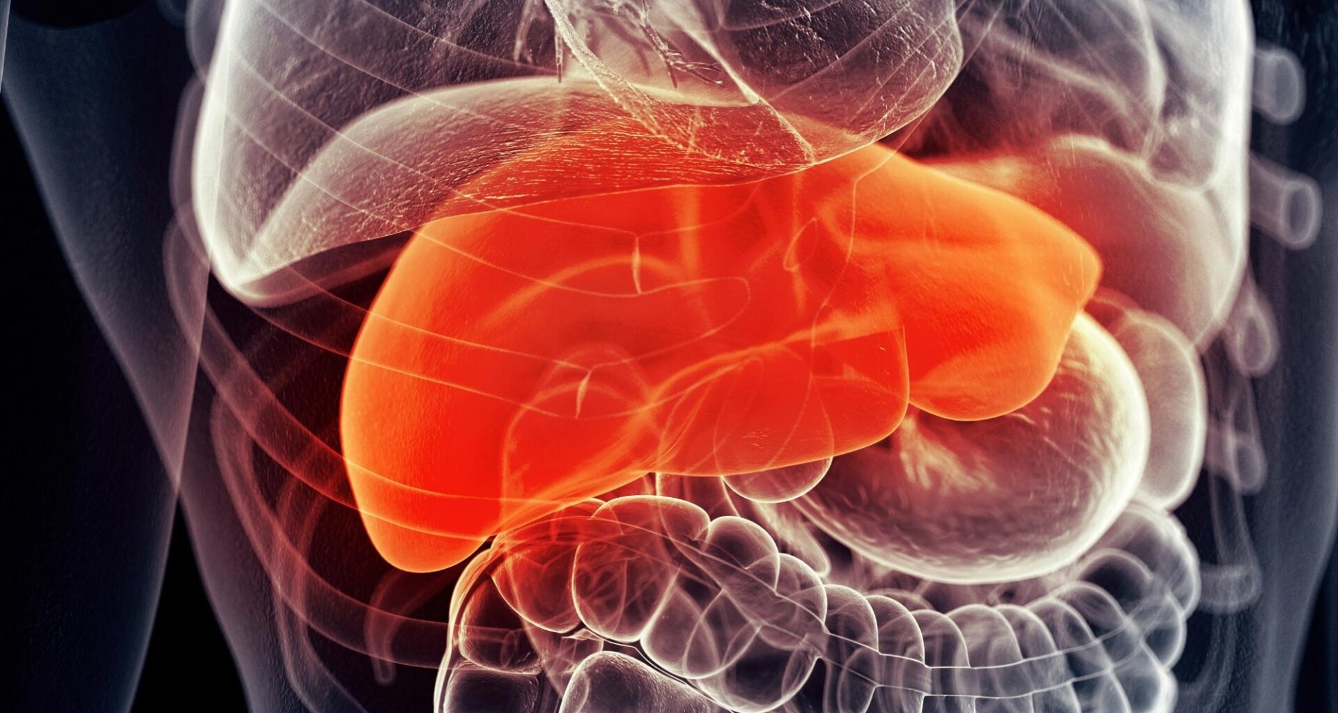 Human Liver.Pain Disease