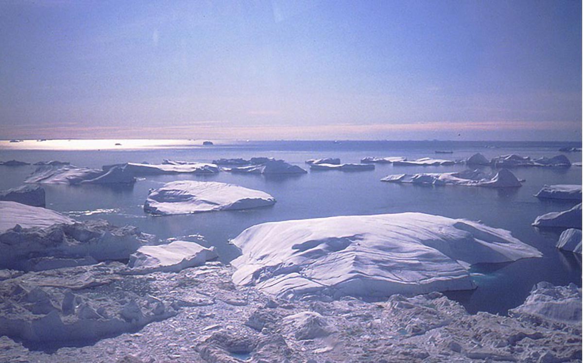 Icebergs in Disko Bay