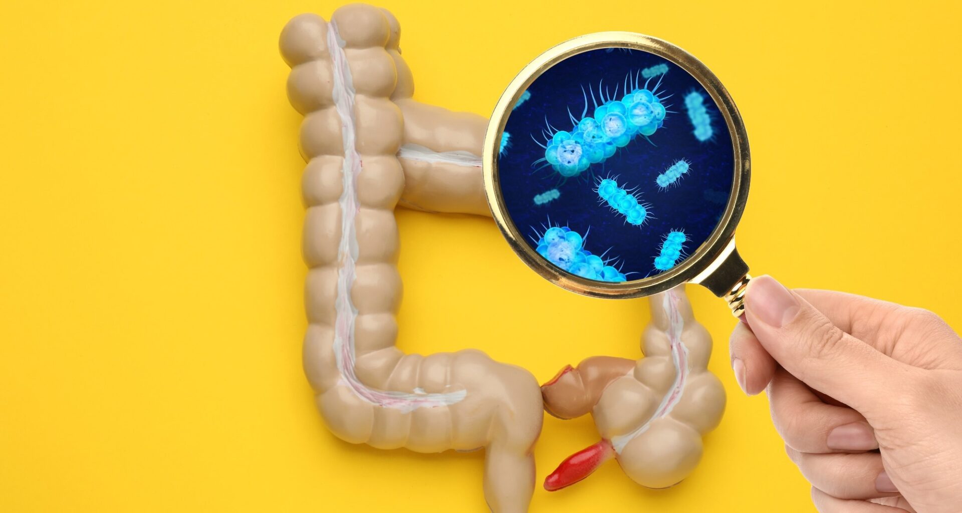 Study: The association of maternal and infant early gut microbiota with respiratory infections in infants. Image Credit: New Africa / Shutterstock