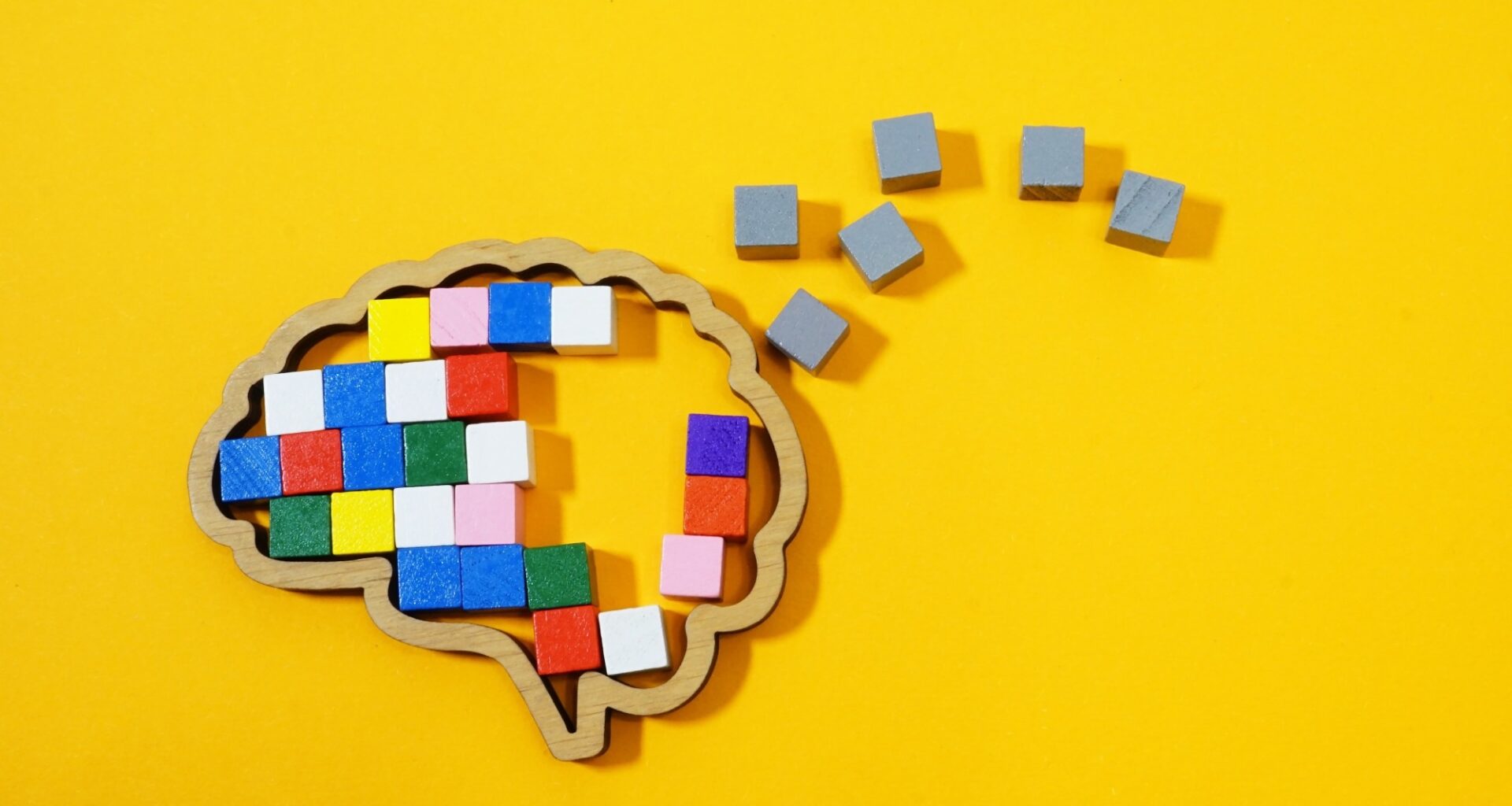 Survey: What are memories made of? A survey of neuroscientists on the structural basis of long-term memory. Image Credit: Vitalii Vodolazskyi  / Shutterstock