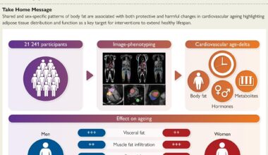 Fat location, not BMI, drives heart ageing risk in men and women
