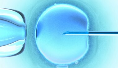 Researchers capture first 3D real-time images of human embryo implantation