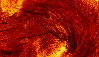 Inouye X-Class Solar Flare Coronal Loops