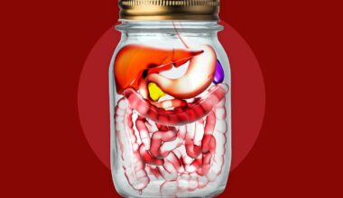 What Is a Diversity Jar? And What Dietitians Think