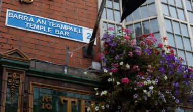 Man (20s) arrested following Temple Bar assault on tourist – The Irish Times