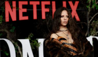 Netflix hit Wednesday gets millions in Irish tax credits – The Irish Times