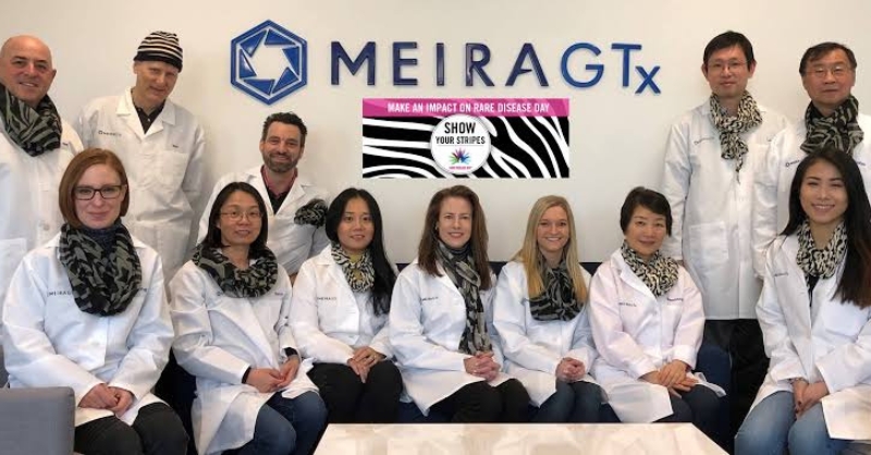 MeiraGTX team