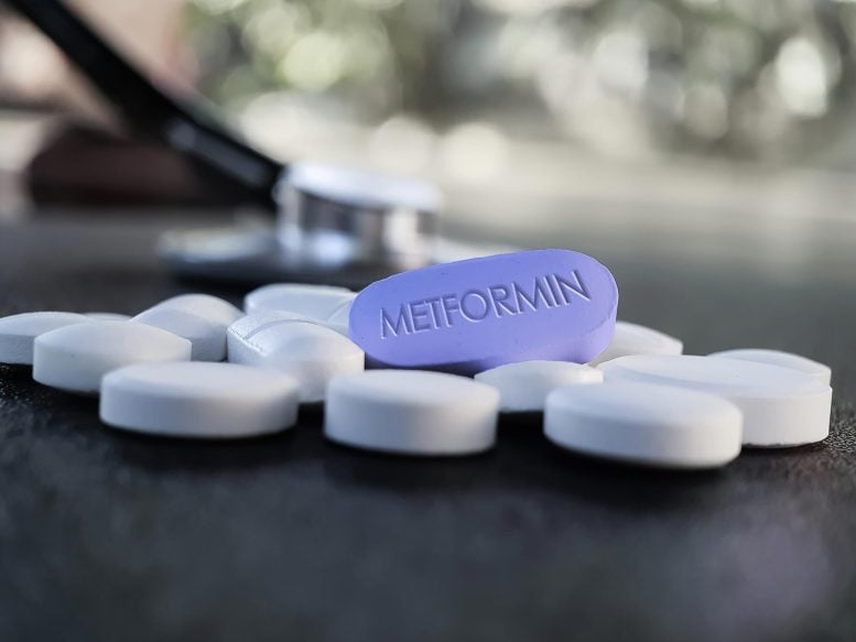 Metformin Blue Pill