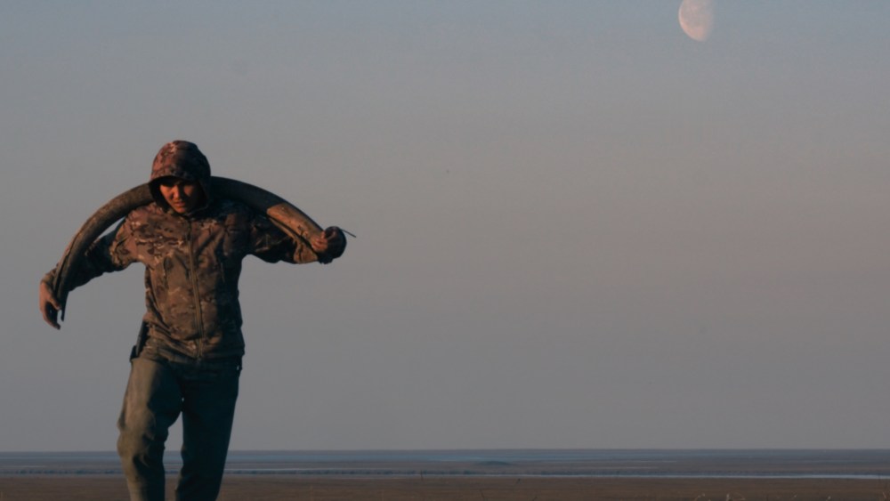 'Honeyland' Director Preps Documentary About Siberian Reindeer Hunters