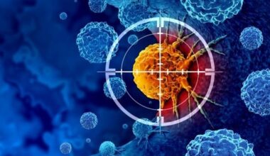 A single genetic mutation may have made humans more vulnerable to cancer than chimpanzees