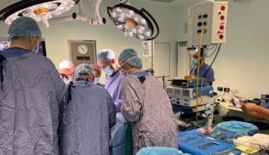 Consultant at centre of review in Drogheda’s Our Lady of Lourdes Hospital has left country – The Irish Times