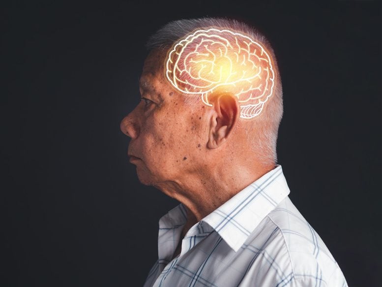 Old Asian Man Dementia Alzheimer's Parkinson's