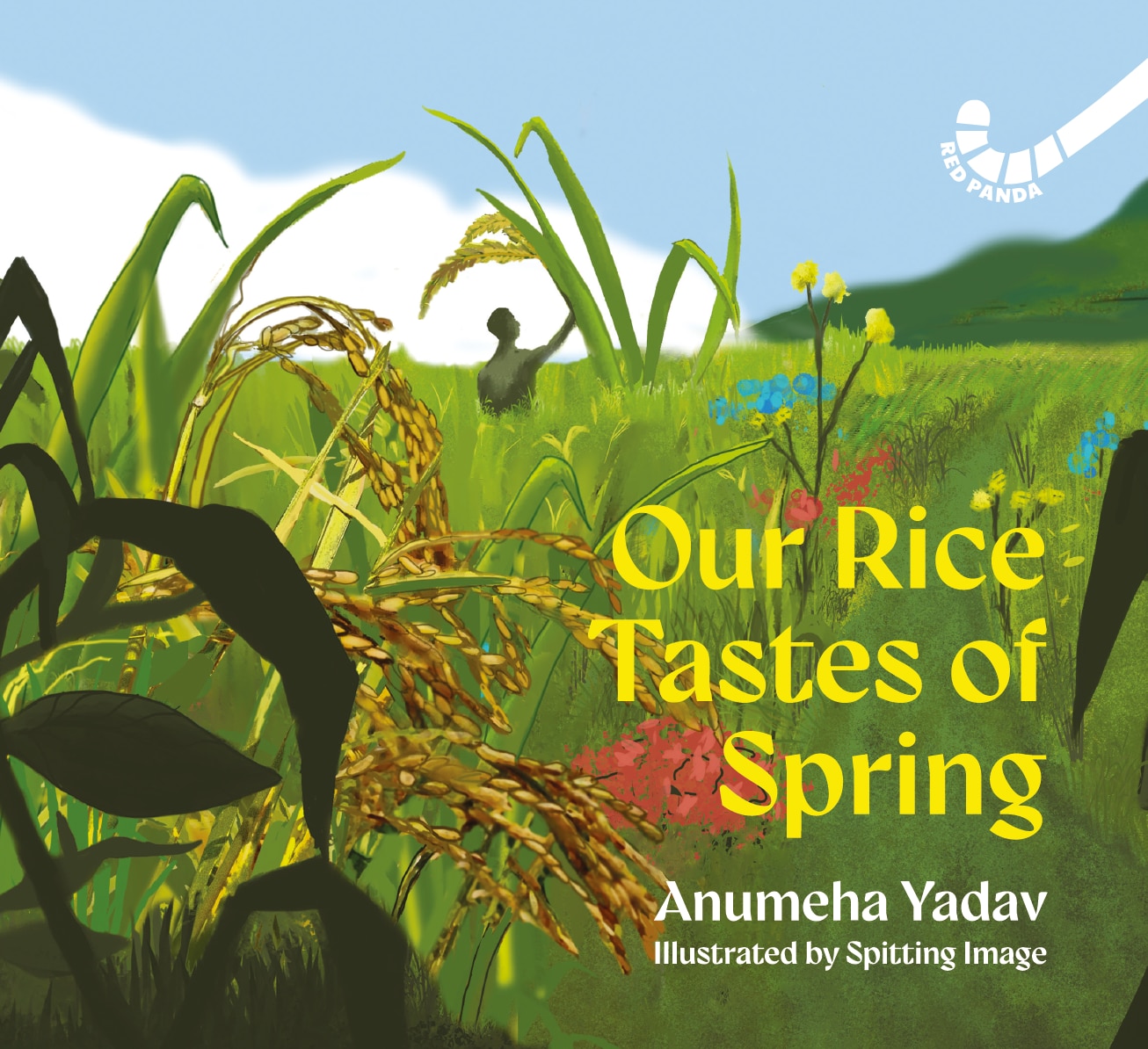 The book cover.