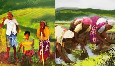 A picture book on heirloom rice and the people who grow it