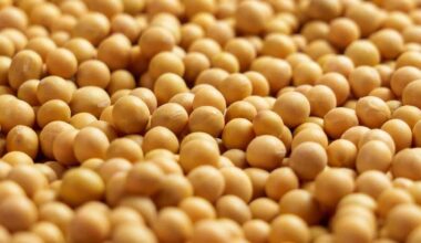 Soybeans Rally into the Weekend