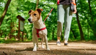 Good news for those who don’t complete 10,000 steps a day – The Irish Times