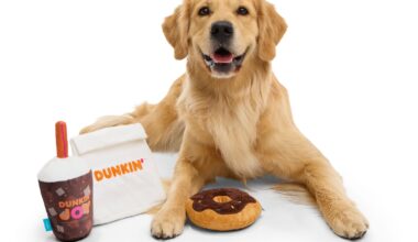 BARK® and Dunkin’® Celebrate National Dog Day with Return of Beloved Dog Toy Collaboration Benefiting Kids in Need