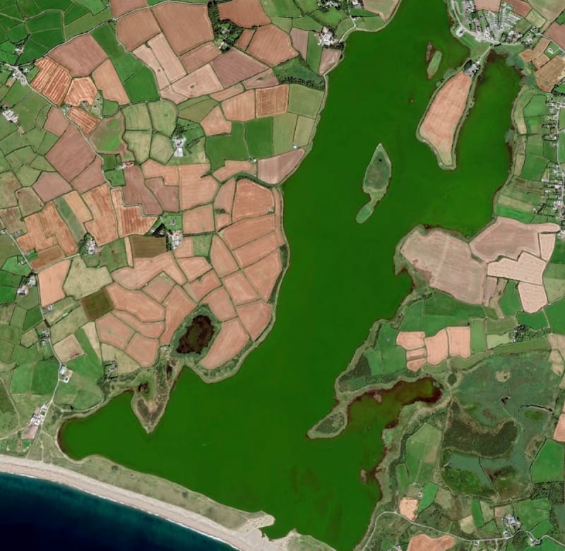 Lady’s Island Lake, which would normally register as blue like the sea at the bottom of the image, registers as completely green due to the algal bloom. Image: Google Maps