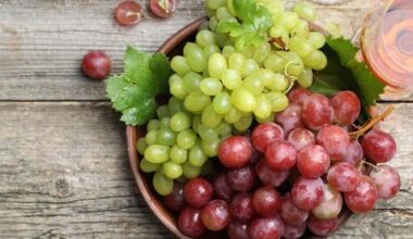 Grapes may be the next superfood, challenging sugar myths