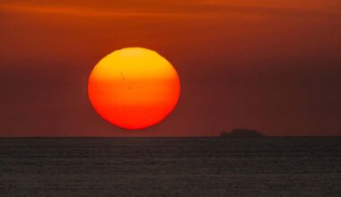 Rare 'triple-dip' La Niña may explain why 2023 was so hot