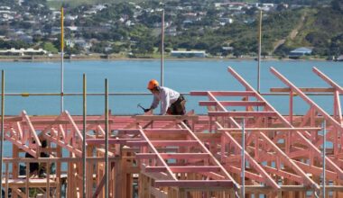 Timber industry challenges: Rising costs and global headwinds test resilience
