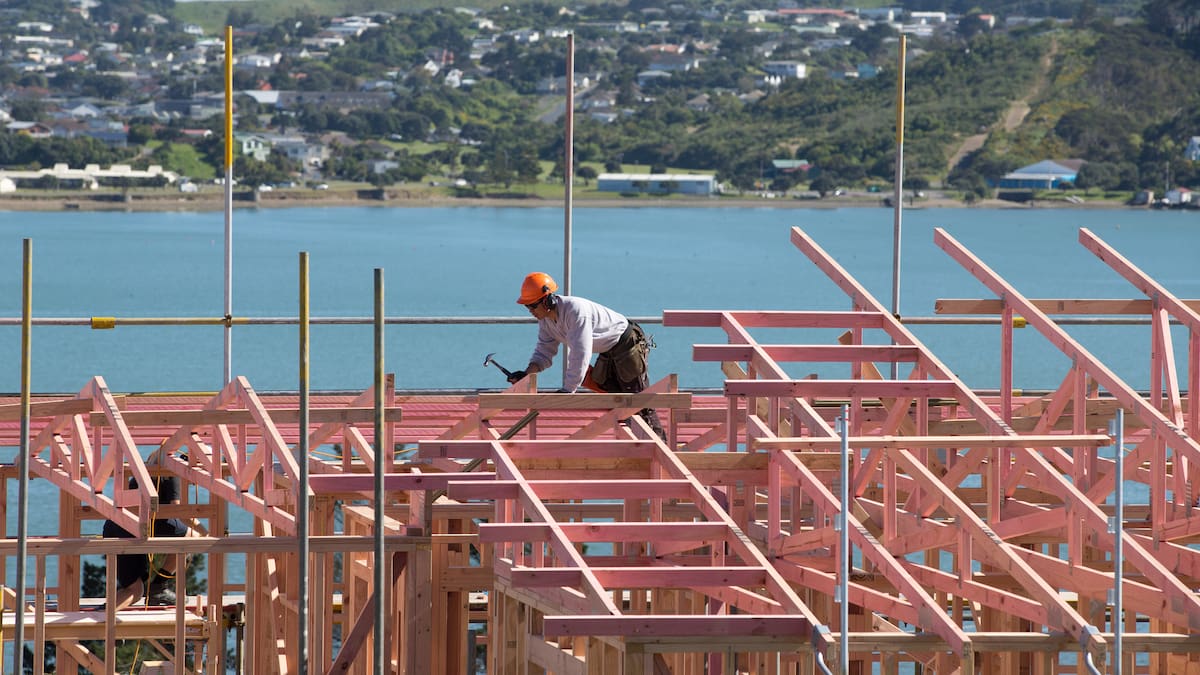 Timber industry challenges: Rising costs and global headwinds test resilience