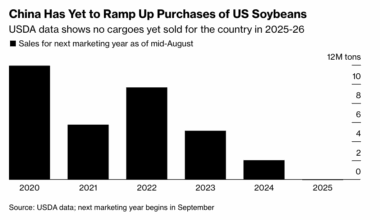 China Remains Absent from US Soybean Market