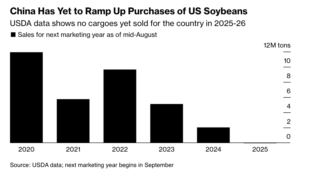 China Remains Absent from US Soybean Market