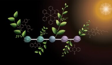 Step Towards Artificial Photosynthesis