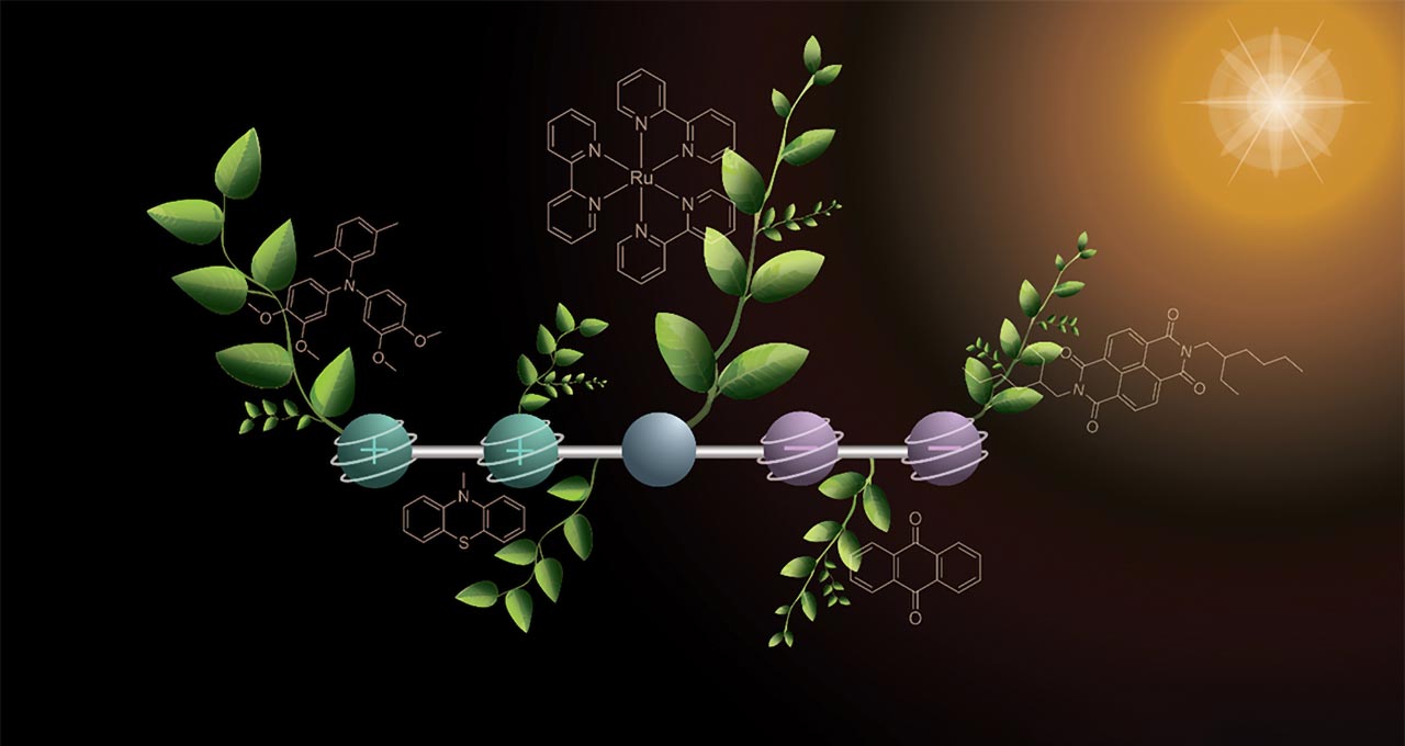 Step Towards Artificial Photosynthesis