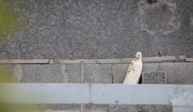 Adult tooth only human remains found to date in early Tuam excavation – The Irish Times