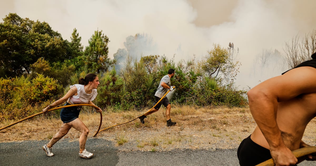 How wildfires in Spain consumed ‘heroes’ who rushed to help – The Irish Times